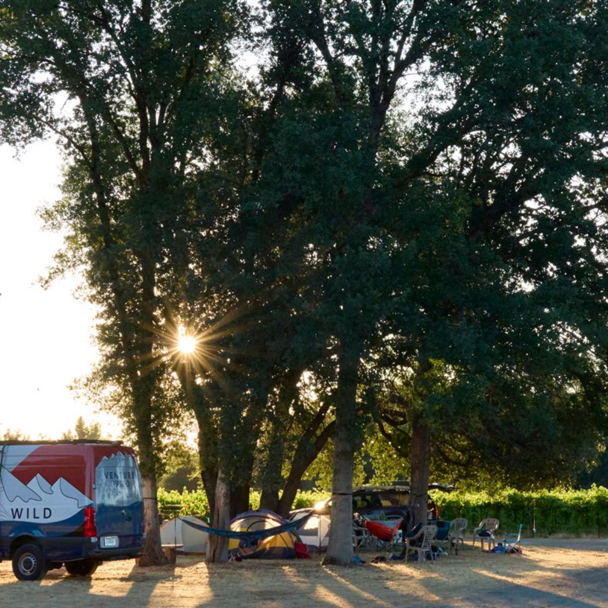3-Day Paddle Board Adventure on the Upper Sacramento River